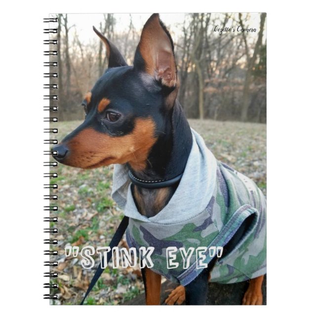Stink Eye MInPin Notebook (Front)