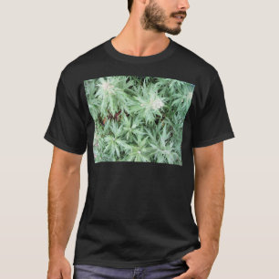 stink weed T-Shirt