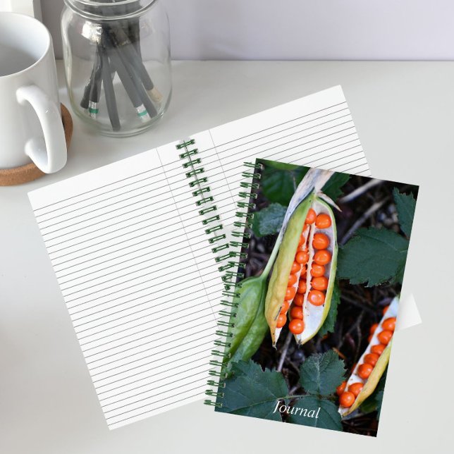 Stinking Iris Orange Berries Botanical Notebook (In Situ)