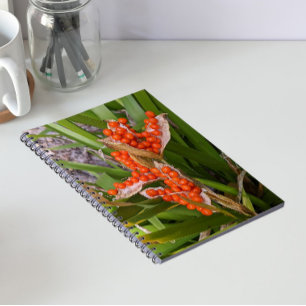 Stinking Iris Orange Seedpods Photo Notebook