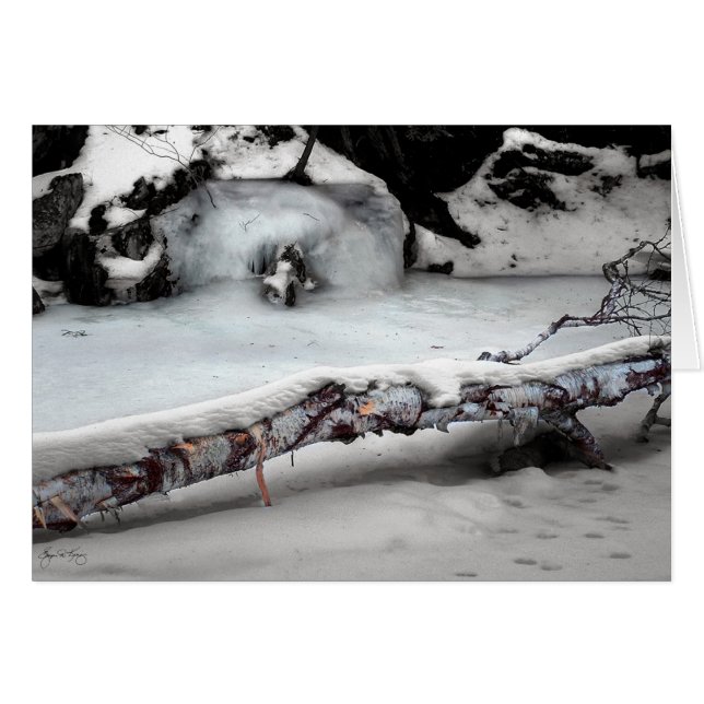 Stinson Brook Birchfall (Front Horizontal)