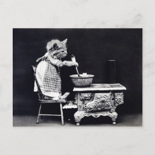 Stir the Bowl Kitty Postcard