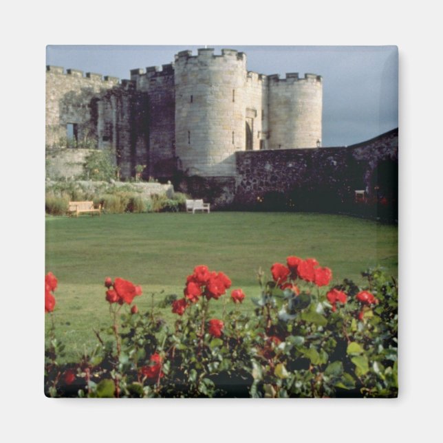 Stirling Castle, Scotland flowers Magnet (Front)