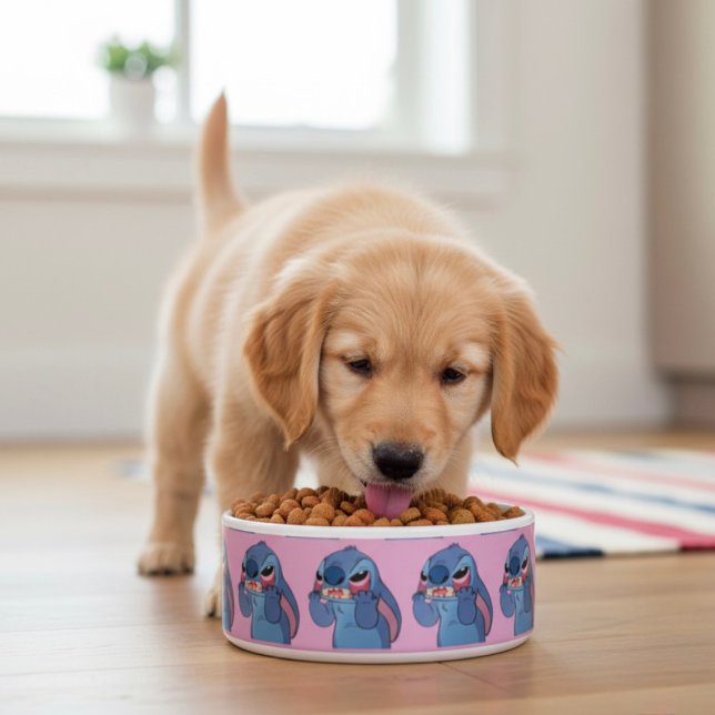 Stitch Bowl (Creator Uploaded)