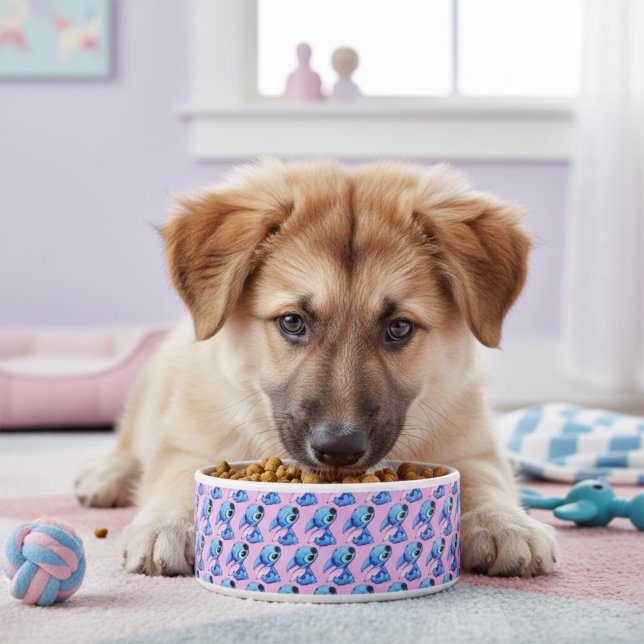 Stitch Bowl (Creator Uploaded)