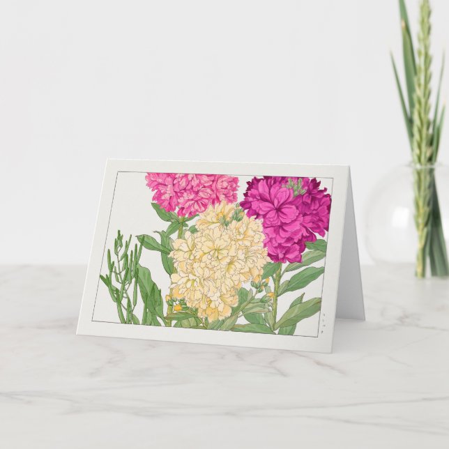 Stock by Tanigami Konan Card (Front)