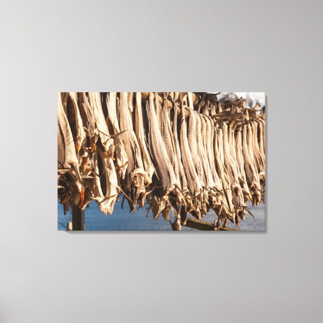 Stockfish Lofoten Islands Canvas Print (Front)