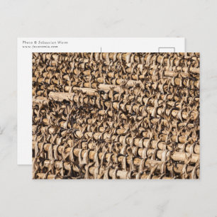 Stockfish Postcard