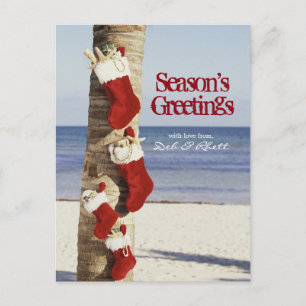 Stockings on palm tree at beach postcard