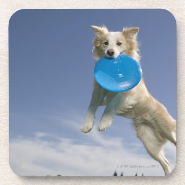 Stockton, California, USA Coaster (Front)