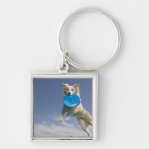Stockton, California, USA Key Ring
