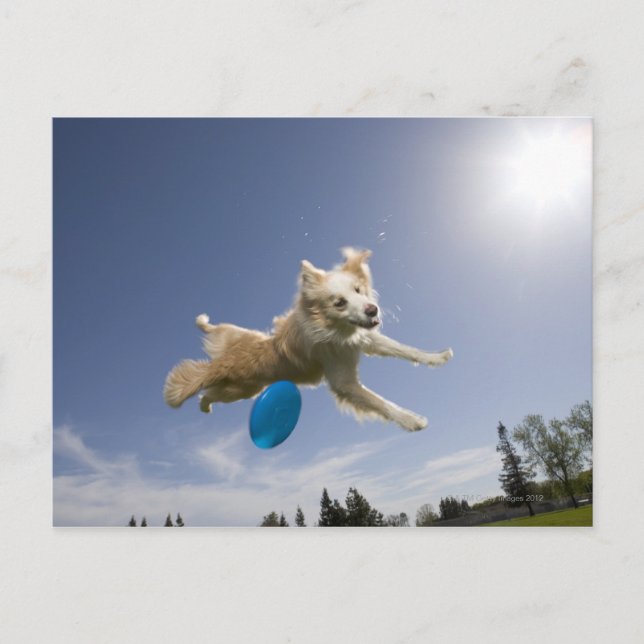 Stockton, California, USA Postcard (Front)