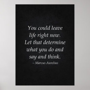 Stoic Quote - Motivational Poster