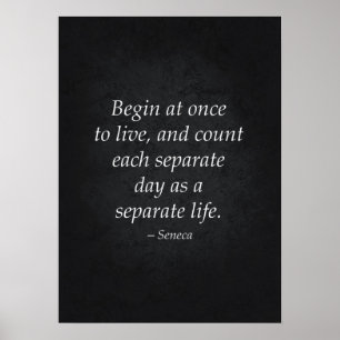 Stoic Quote - Motivational Poster