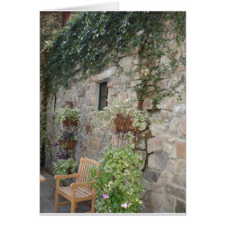 Stone and Ivy with Garden Bench