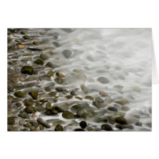 Stone Beach | Point Lobos State Reserve, CA