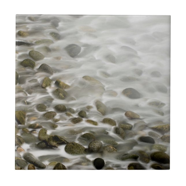 Stone Beach | Point Lobos State Reserve, CA Tile (Front)