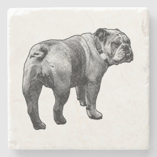 Stone Bulldog, Shared Moments Coaster