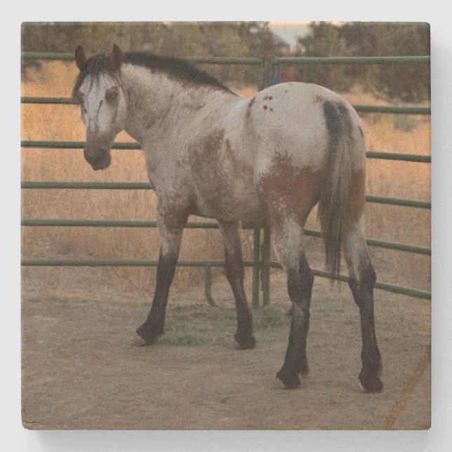 Stone Coaster_appy backside  Stone Coaster (Front)