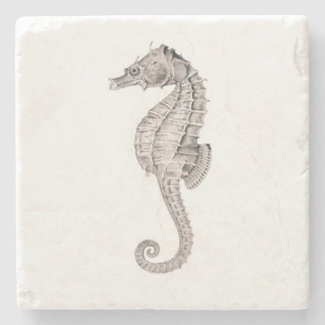 Stone Coaster-Seahorse Coaster (Front)
