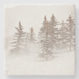 Stone Coasters - Mountain Home inspired