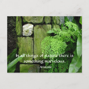 Stone Garden: Aristotle - Postcard