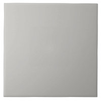 Stone Gray Ceramic Tile.