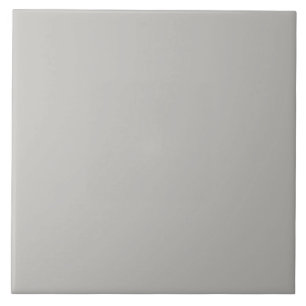 Stone Gray Ceramic Tile. Tile