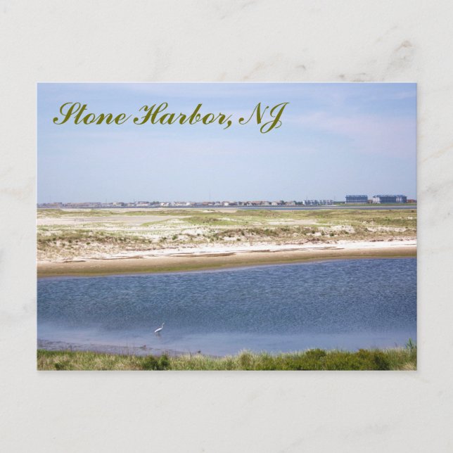 Stone Harbour Point Postcard (Front)