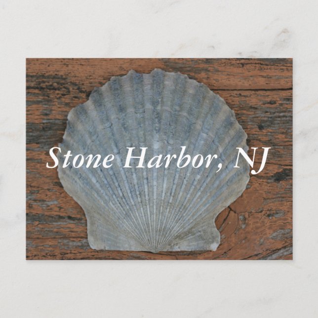 Stone Harbour Scallop Shell Postcard (Front)