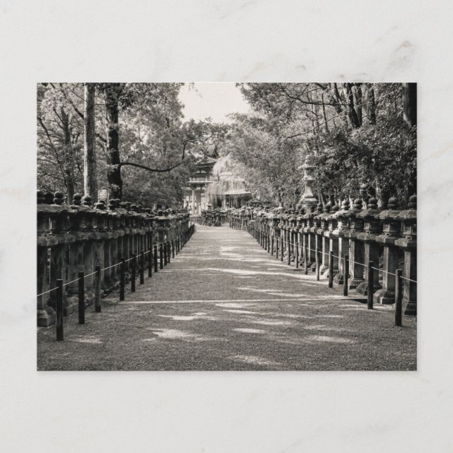 Stone Lantern Path at a Japanese Shrine – Black an Postcard (Front)