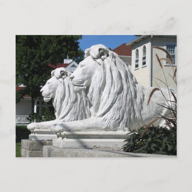 Stone Lions Postcard (Front)