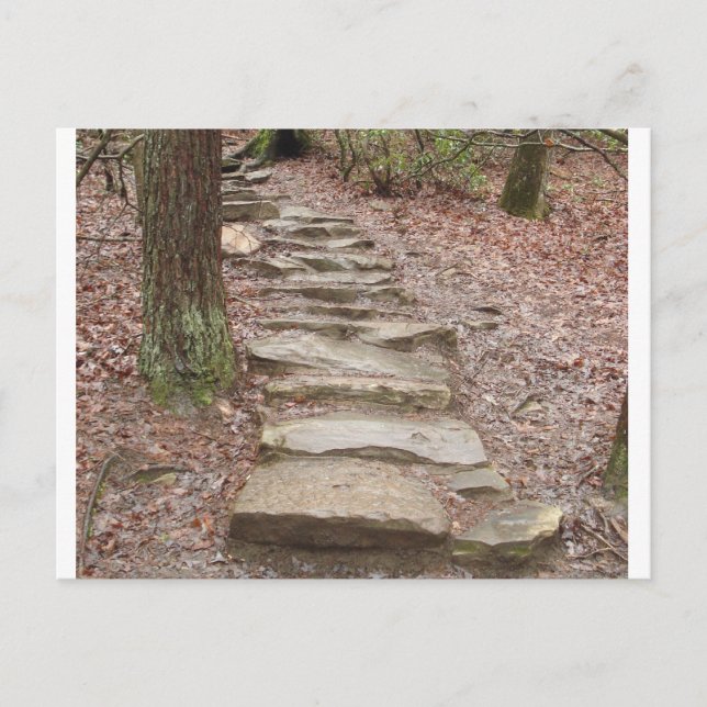 Stone Stair Path at Fall Creek Falls, TN Postcard (Front)