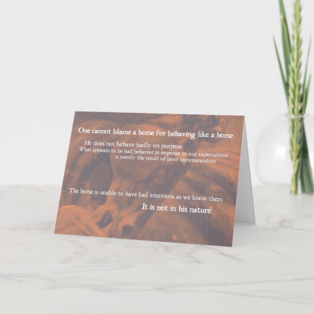 STONE STEED Greeting Card (Front)