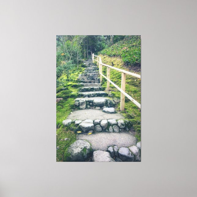 Stone Steps in The Park Canvas Print (Front)