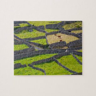 Stone Walls Galway Ireland. Jigsaw Puzzle