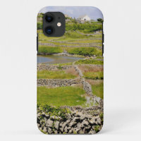 Stone Walls of Ireland