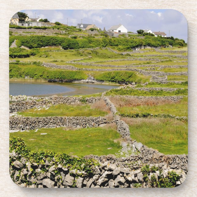 Stone Walls of Ireland Coaster (Front)