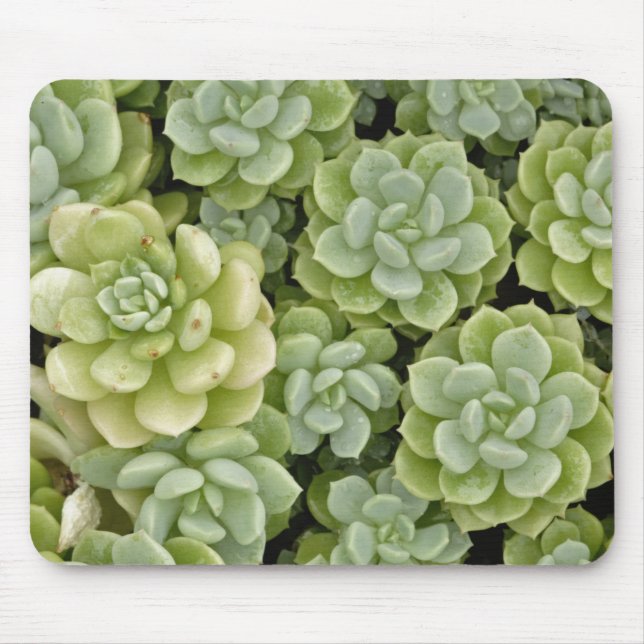 Stonecrop plant pattern mouse pad (Front)