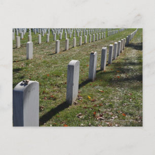 Stones laid to rest on Jewish soldier headstones Postcard