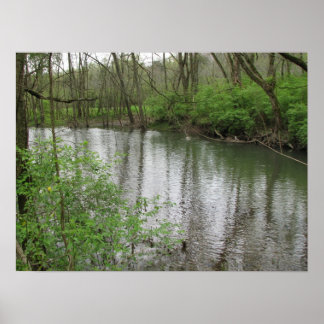 Stone's River Poster