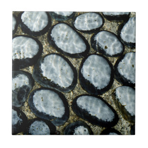 Stones under Water Tile