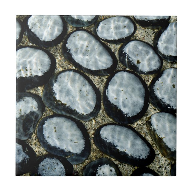 Stones under Water Tile (Front)