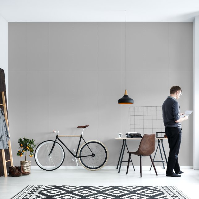 Stonewall Grey Simple Elegant Wallpaper (Living Room)