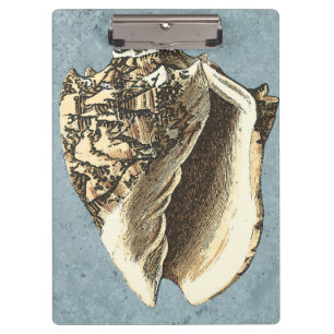 Stonewashed Conch Shell Clipboard