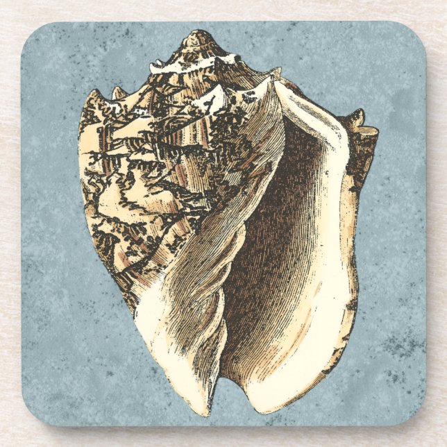 Stonewashed Conch Shell Coaster (Front)