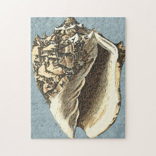 Stonewashed Conch Shell Jigsaw Puzzle