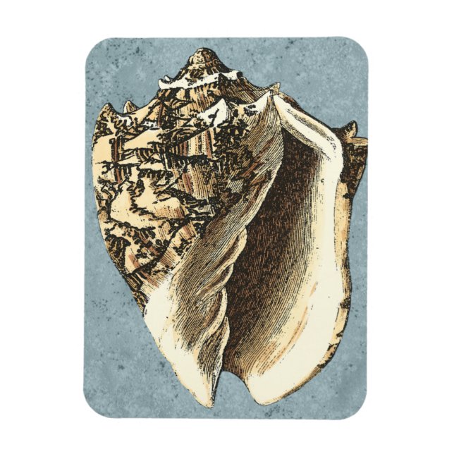 Stonewashed Conch Shell Magnet (Vertical)