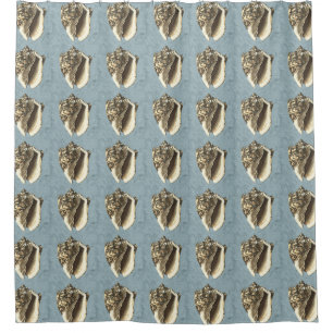 Stonewashed Conch Shell Shower Curtain