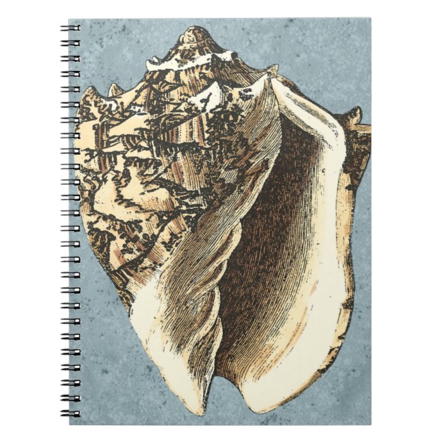 Stonewashed Conch Shell Spiral Notebook (Front)